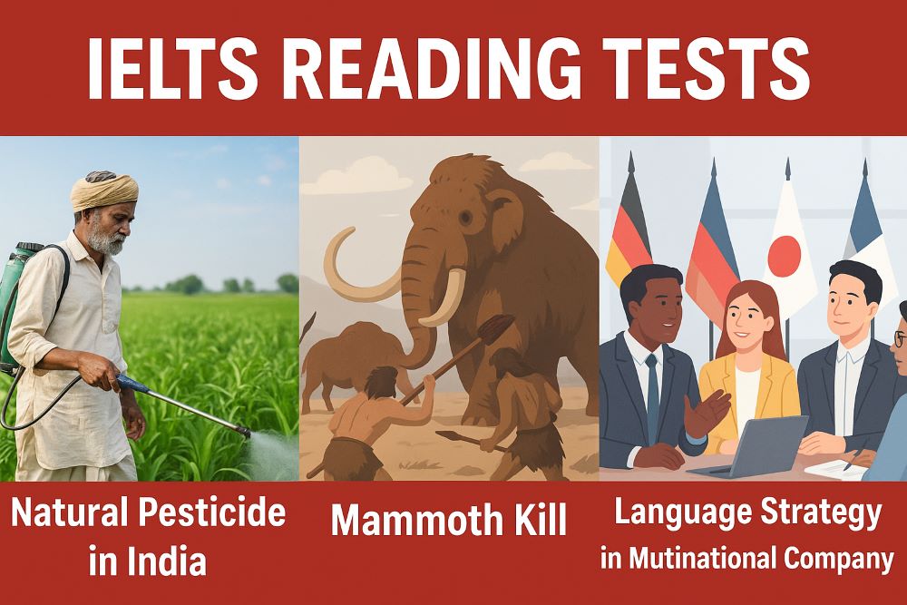 IELTS READING TEST 28